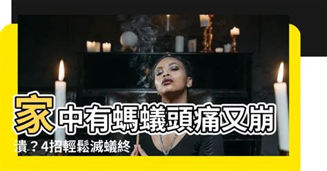 家中有螞蟻如何處理|家中突然出現很多小螞蟻怎麼辦？專家教你五招消滅家。